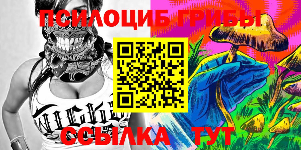 Галлюциногенные грибы Magic Shrooms  Вход с VPN  Кизляр  Галлюциногенные грибы Psilocybe 